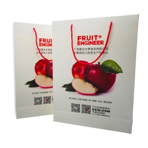 custom gift paper bags wholesale