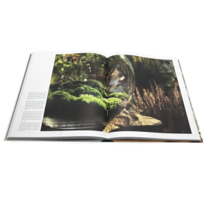 Graphic book printing